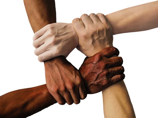 Team collaborating with coaches